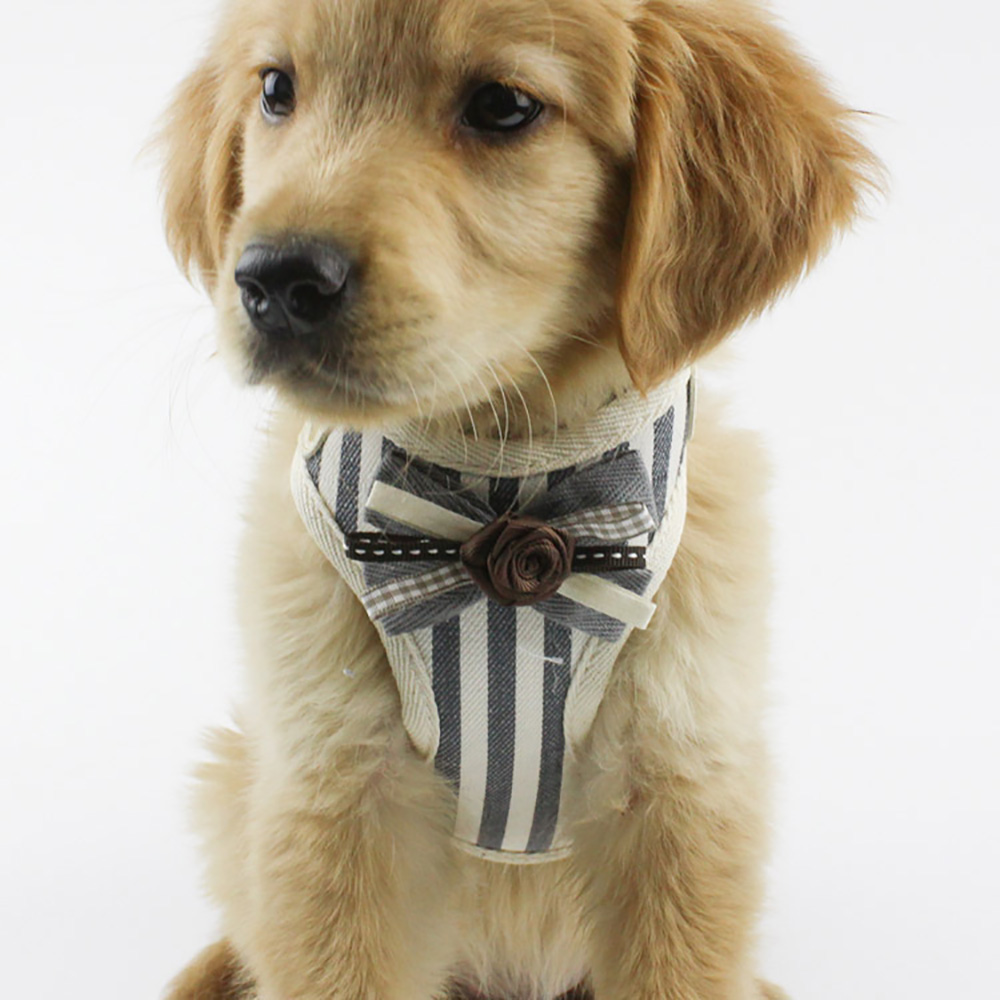 Easy Walk Harness Pet Accessories