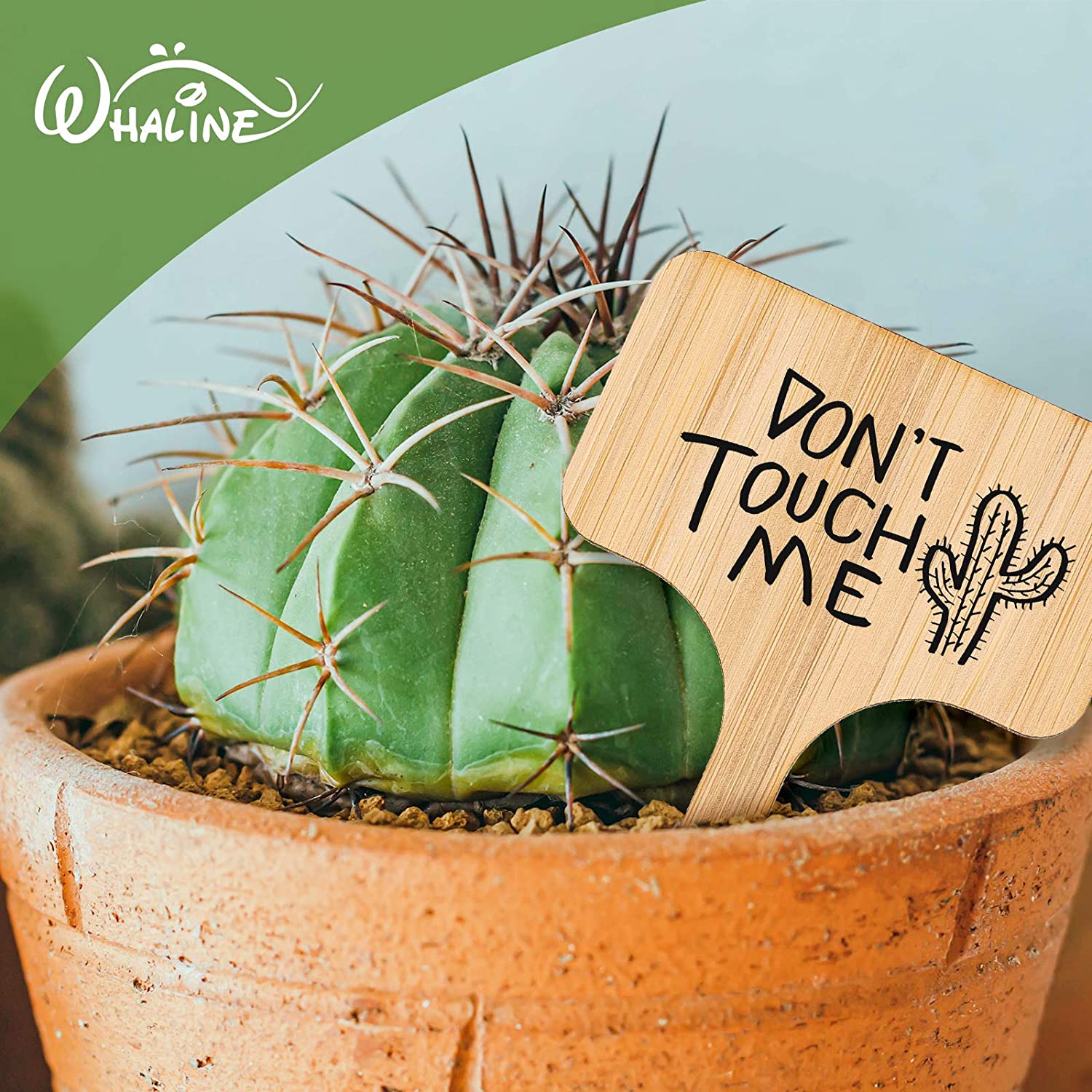 Eco Friendly Bamboo Plant Labels (20 pcs)
