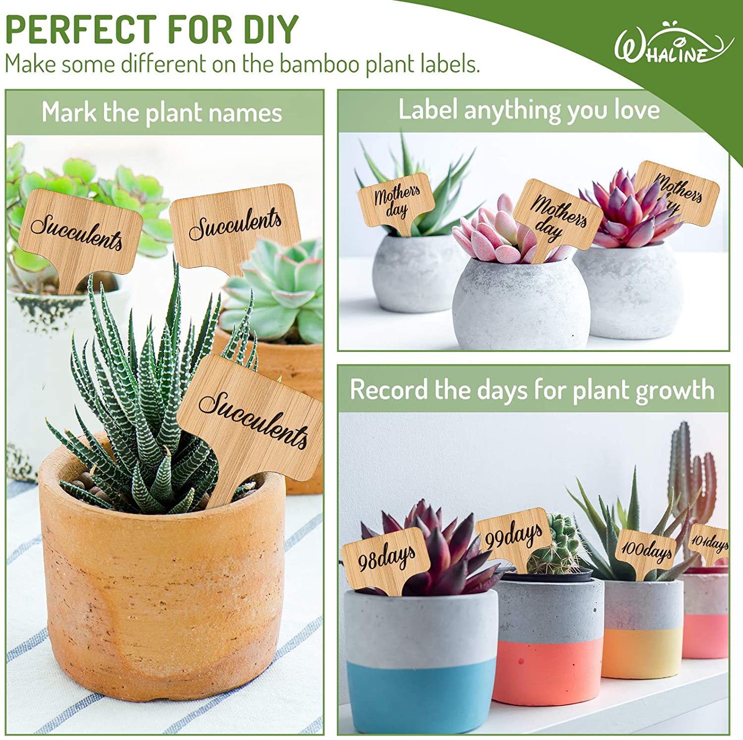 Eco Friendly Bamboo Plant Labels (20 pcs)