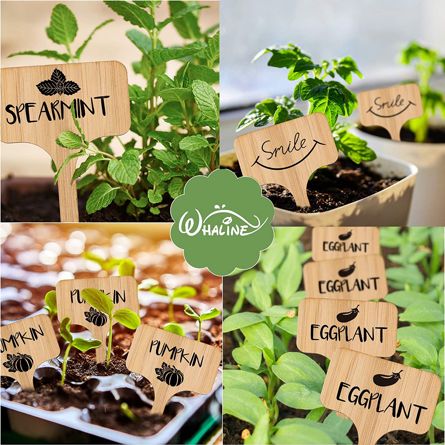 Eco Friendly Bamboo Plant Labels (20 pcs)