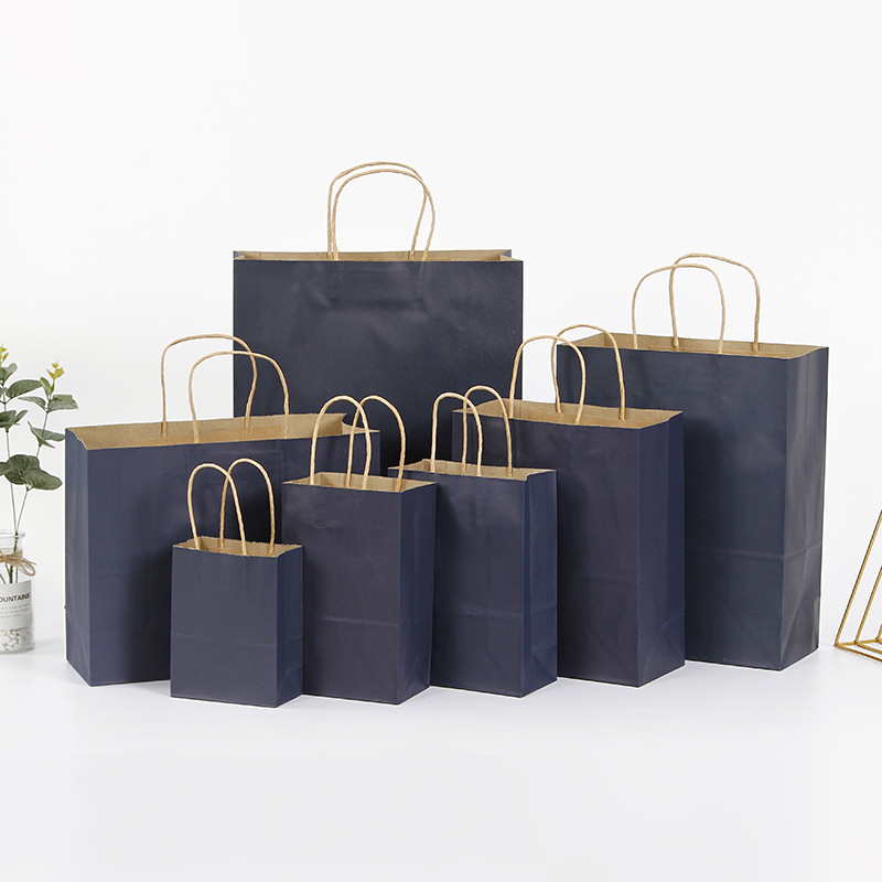 Eco Friendly Kraft Gift Bags (5pcs)