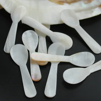 Eco friendly Natural Seashell Spoon (10 pcs)