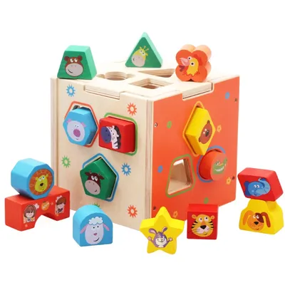 Educational Baby Shape Sorter Toy