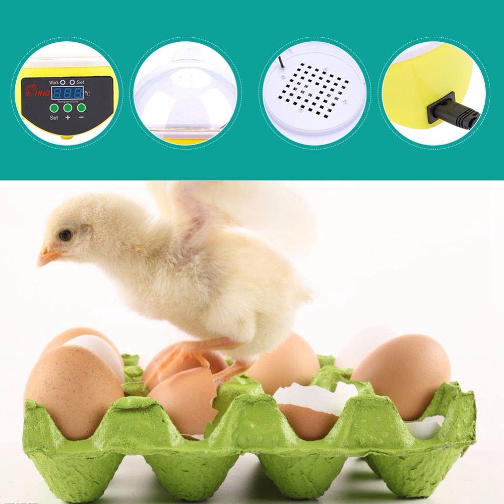 Egg Incubator Farm Brooder Kit Egg Incubator Farm Brooder Kit