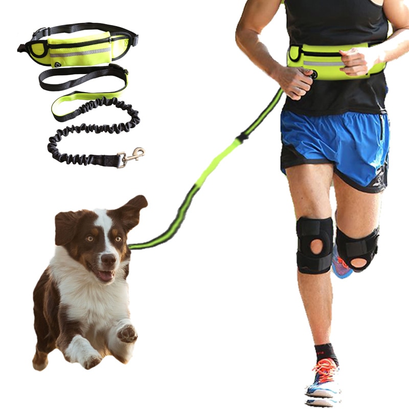 Elastic and Reflective Running Dog Leash Elastic and Reflective Running Dog Leash
