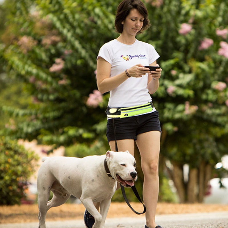 Elastic and Reflective Running Dog Leash Elastic and Reflective Running Dog Leash