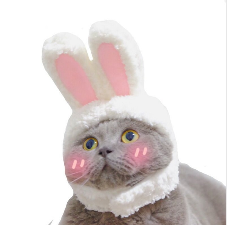 Elastic Plush Bunny Hat for Cats