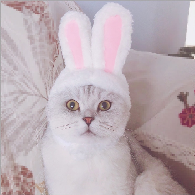 Elastic Plush Bunny Hat for Cats