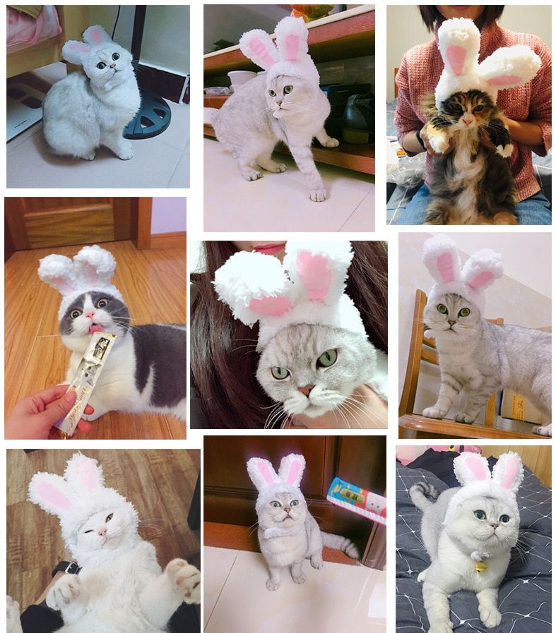 Elastic Plush Bunny Hat for Cats