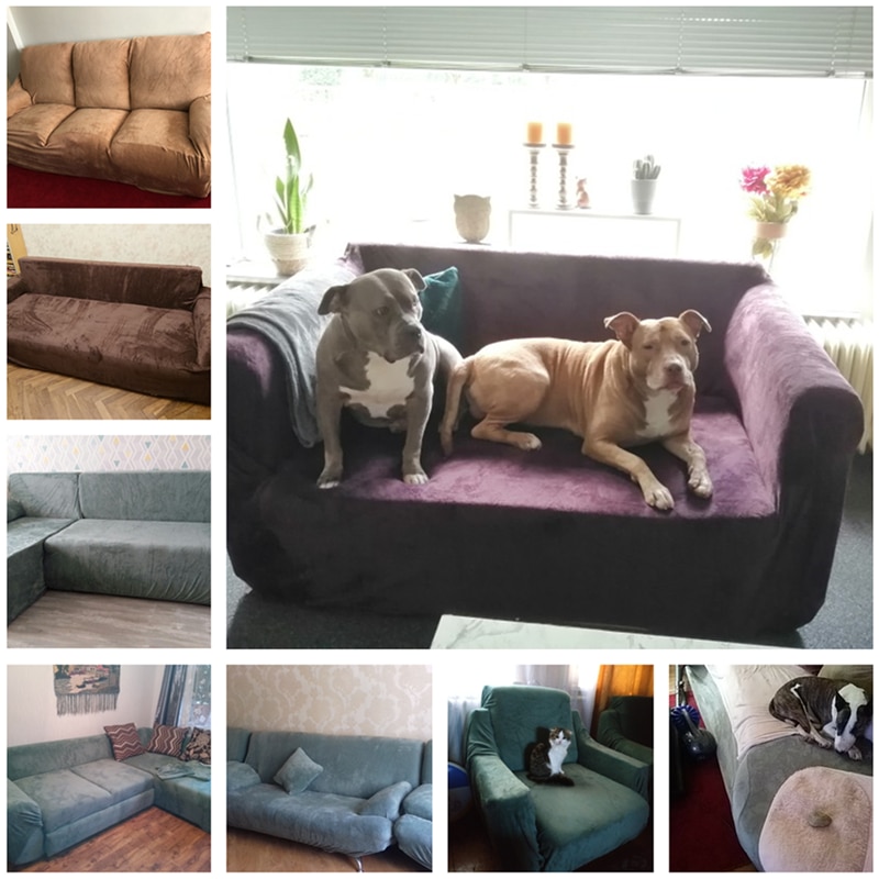 Elastic Sofa Cover Plush Slipcover Elastic Sofa Cover Plush Slipcover