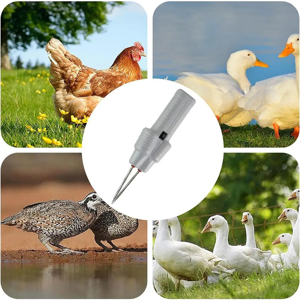Electric Hair Removal Tool For Chicken, Duck And Goose Handheld Poultry Tweezers Pig Hair Clip Hair Removal Tool Electric Hair Removal Tool For Chicken, Duck And Goose Handheld Poultry Tweezers Pig Hair Clip Hair Removal Tool