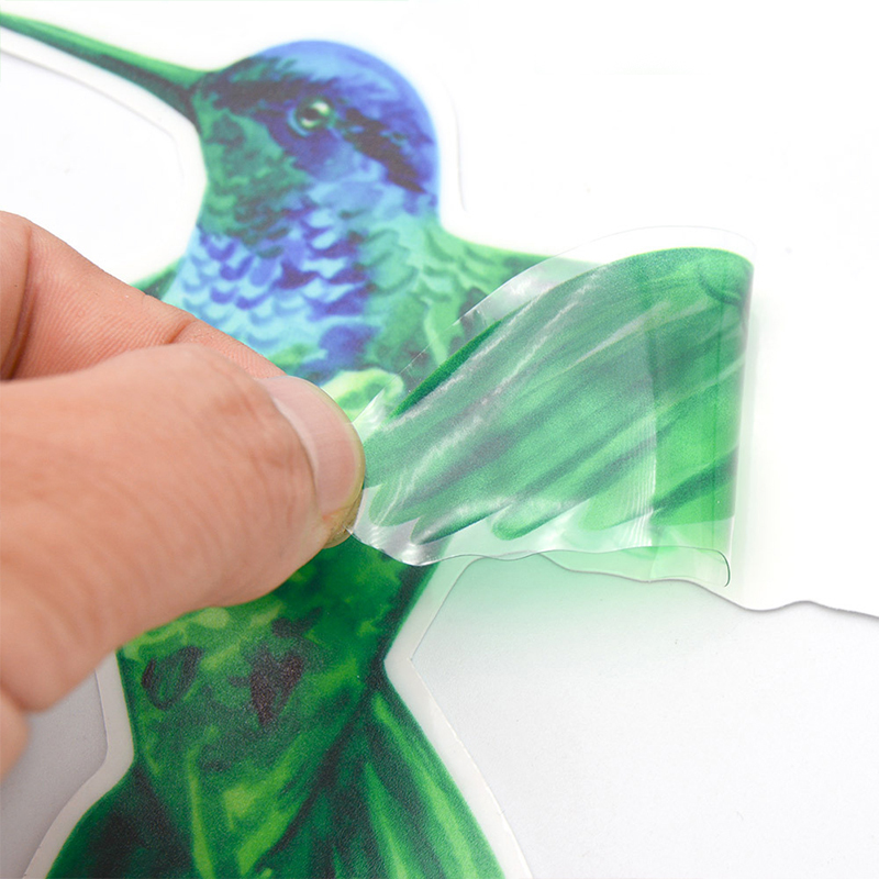 Electrostatic Bird Window Clings