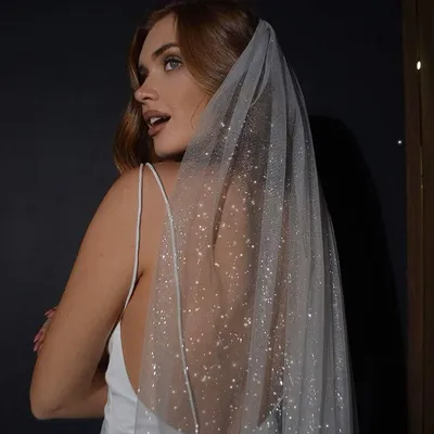 Elegant Sparkly Wedding Veil Elegant Sparkly Wedding Veil