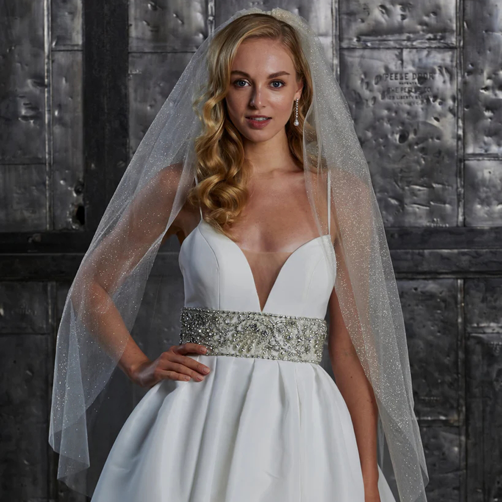Elegant Sparkly Wedding Veil Elegant Sparkly Wedding Veil