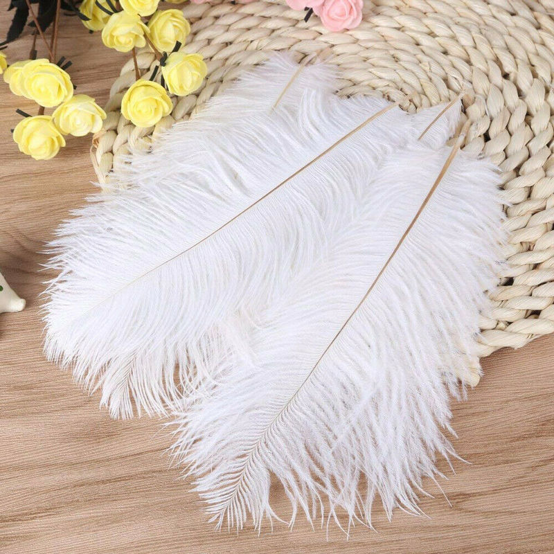Elegant White Ostrich Feathers (10 pcs)