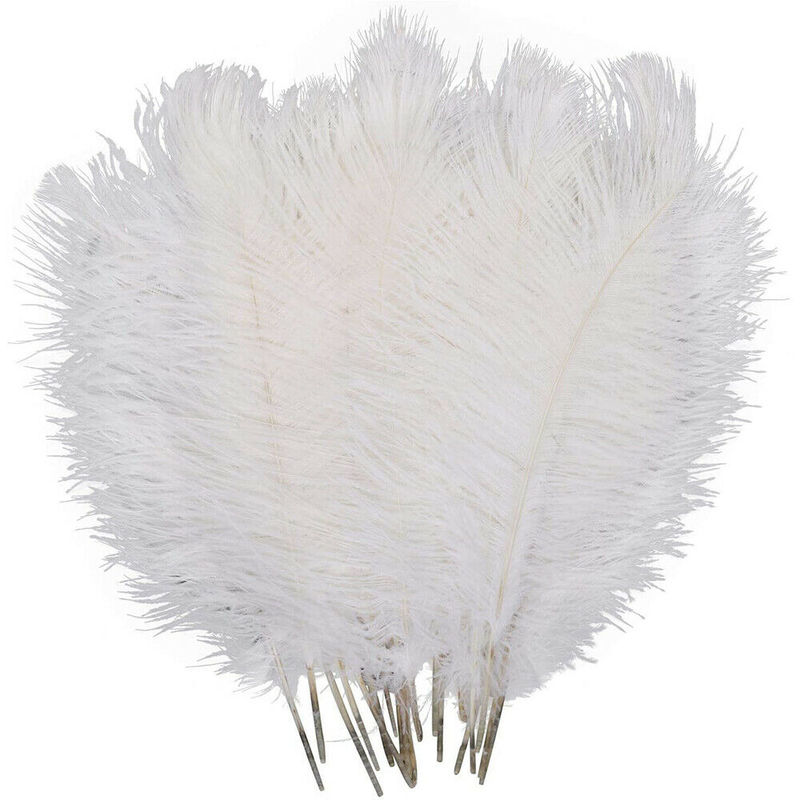 Elegant White Ostrich Feathers (10 pcs)