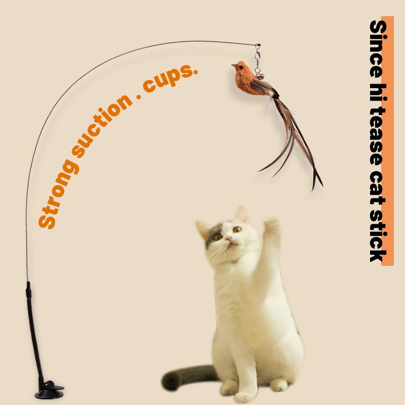 Epoxy Sucker Steel Wire Long Rod Feather Cat Teasing Stick Cat Self Hi No Harmful Ingredients Epoxy Sucker Steel Wire Long Rod Feather Cat Teasing Stick Cat Self Hi No Harmful Ingredients