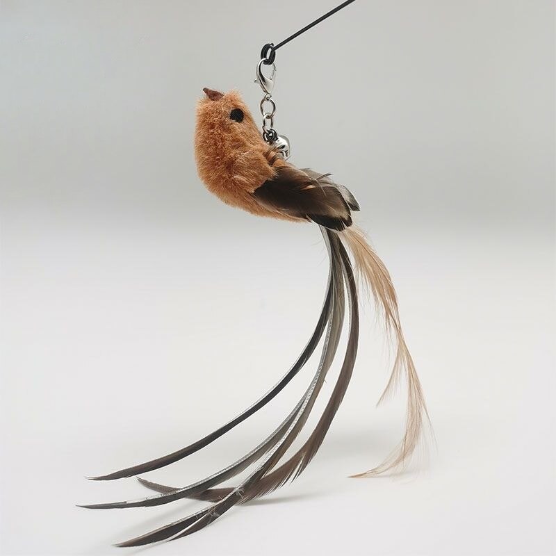 Epoxy Sucker Steel Wire Long Rod Feather Cat Teasing Stick Cat Self Hi No Harmful Ingredients Epoxy Sucker Steel Wire Long Rod Feather Cat Teasing Stick Cat Self Hi No Harmful Ingredients