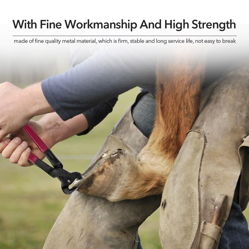 Ergonomic Horse Hoof Trimming Tools (4pcs)