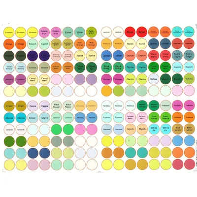 Essential Oil Bottle Labels (192 pcs)