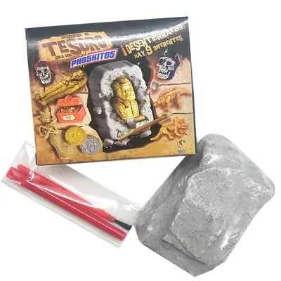 Excavation Kit Educational DIY Toy Excavation Kit Educational DIY Toy