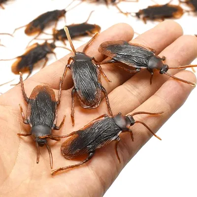 Fake Cockroaches Funny Prank Toy (10Pcs) Fake Cockroaches Funny Prank Toy (10Pcs)