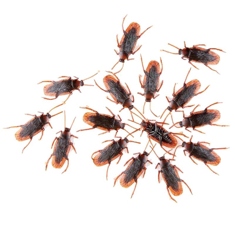 Fake Cockroaches Funny Prank Toy (10Pcs) Fake Cockroaches Funny Prank Toy (10Pcs)