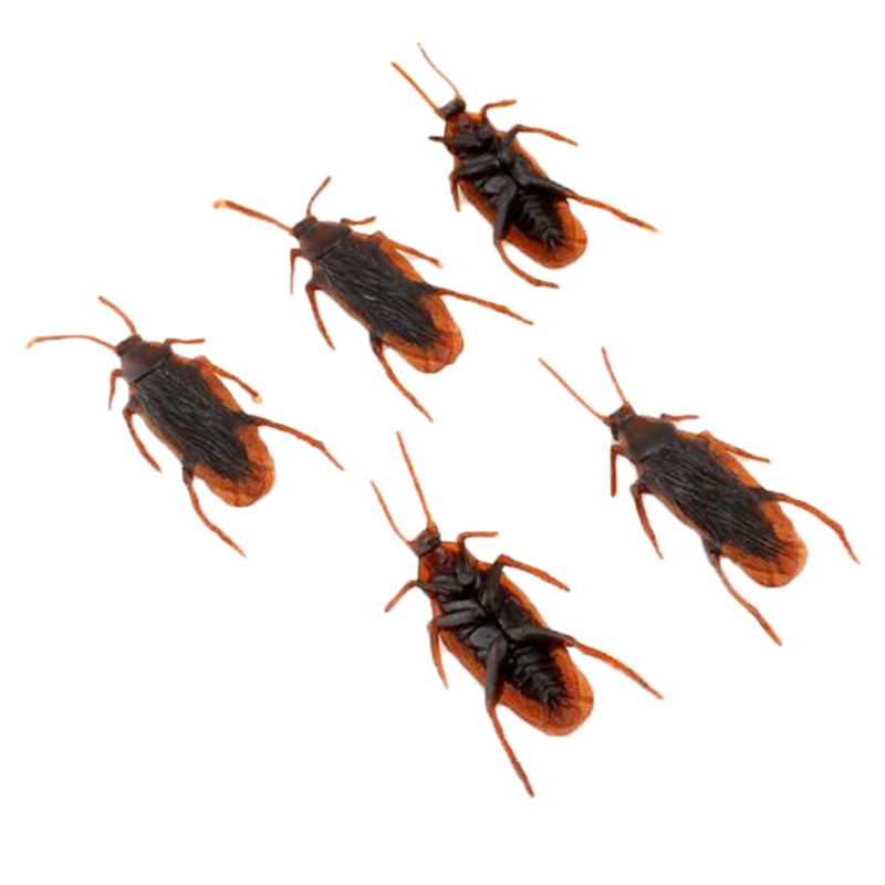 Fake Cockroaches Funny Prank Toy (10Pcs) Fake Cockroaches Funny Prank Toy (10Pcs)