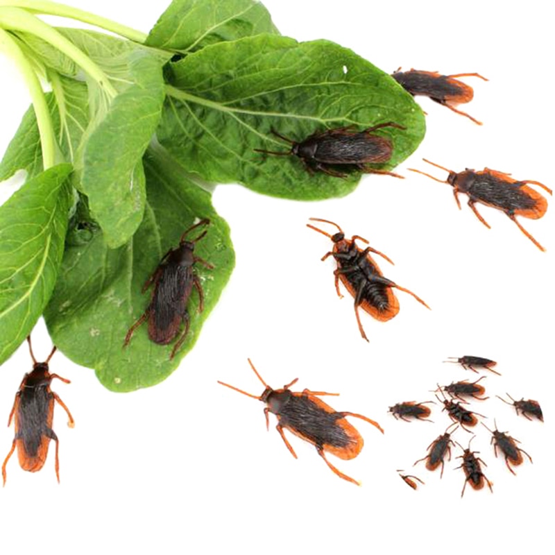 Fake Cockroaches Funny Prank Toy (10Pcs) Fake Cockroaches Funny Prank Toy (10Pcs)