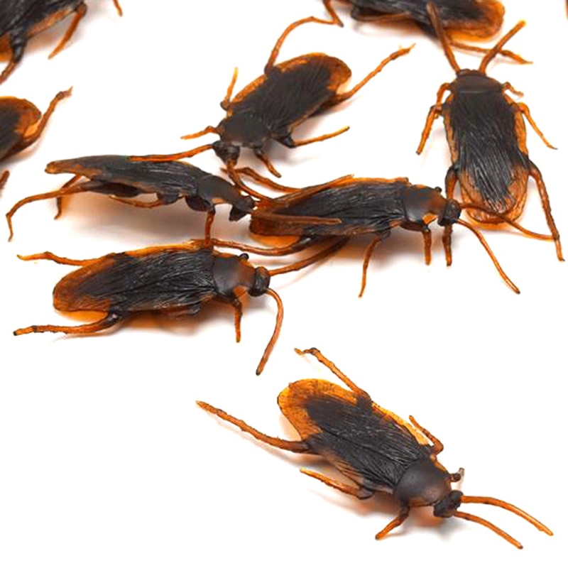Fake Cockroaches Funny Prank Toy (10Pcs) Fake Cockroaches Funny Prank Toy (10Pcs)