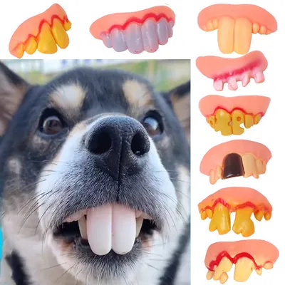 Fake Dog Teeth Pet Accessory Fake Dog Teeth Pet Accessory