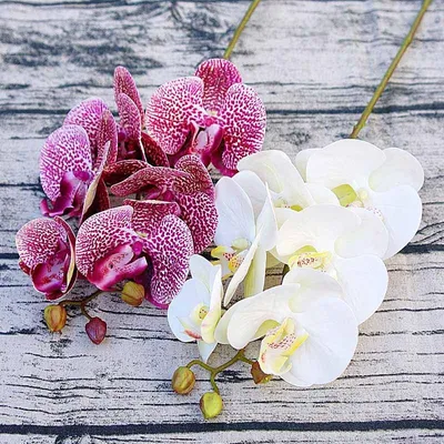 Fake Orchid Plant Artificial Flower