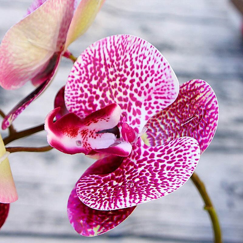 Fake Orchid Plant Artificial Flower