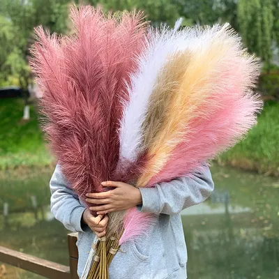 Fake Pampas Grass Fluffy Decoration Fake Pampas Grass Fluffy Decoration