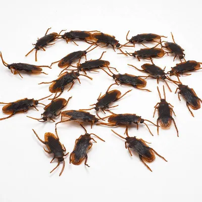Fake Plastic Cockroach Toys (100 pcs)