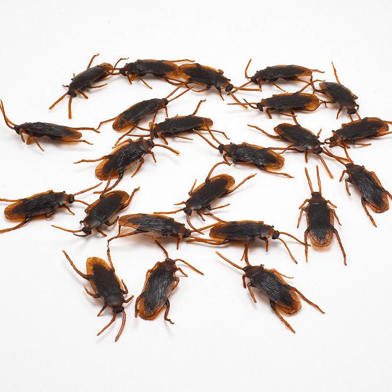 Fake Plastic Cockroach Toys (100 pcs) Fake Plastic Cockroach Toys (100 pcs)