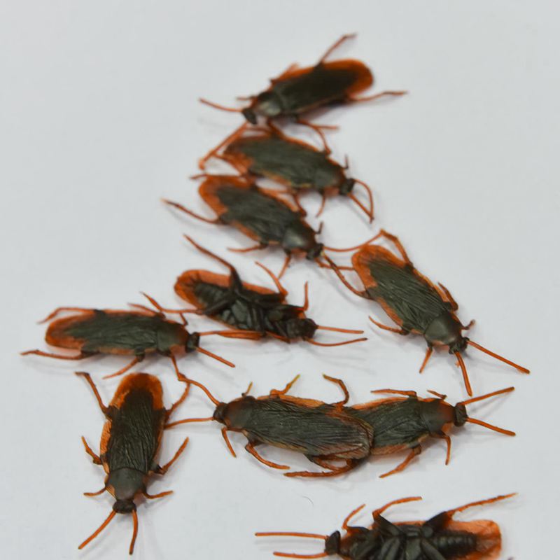 Fake Plastic Cockroach Toys (100 pcs)
