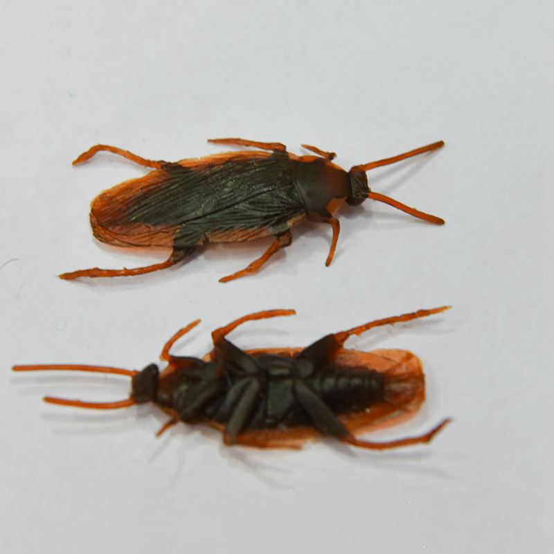 Fake Plastic Cockroach Toys (100 pcs)