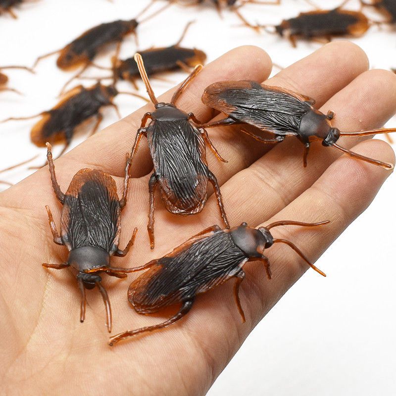 Fake Plastic Cockroach Toys (100 pcs)