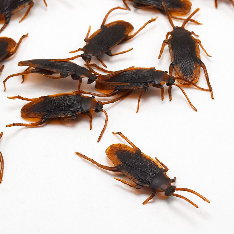 Fake Plastic Cockroach Toys (100 pcs)