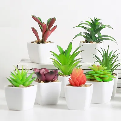 Fake Succulents Potted Artificial Plant Fake Succulents Potted Artificial Plant