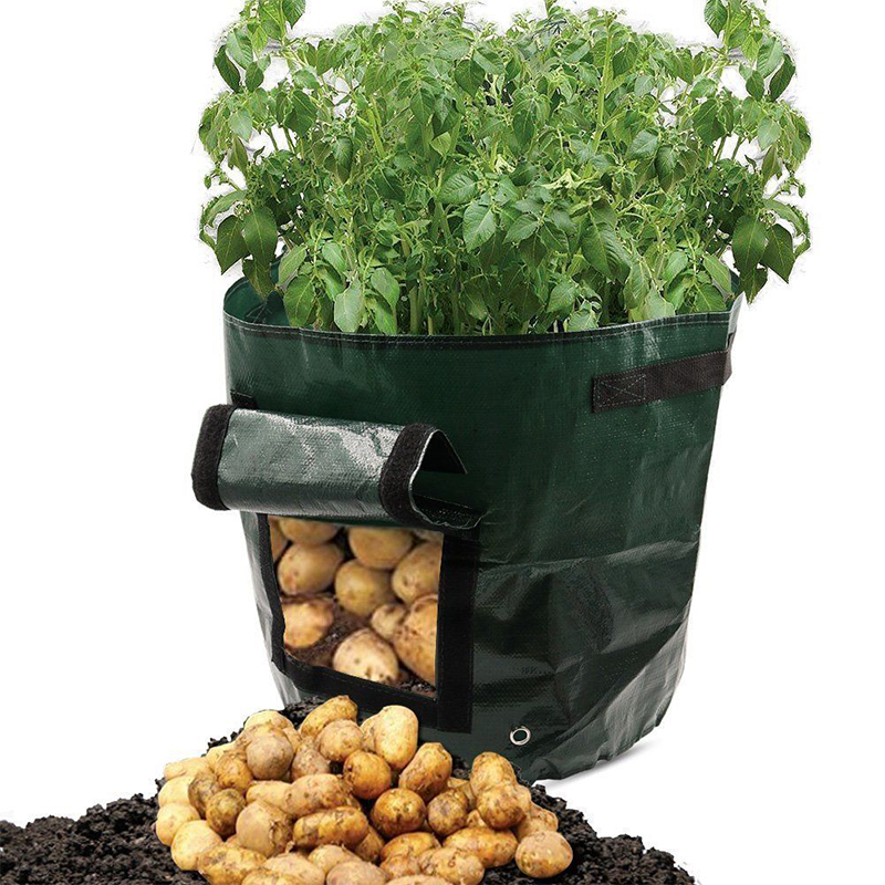Farming Grow Bags Garden Planting Farming Grow Bags Garden Planting
