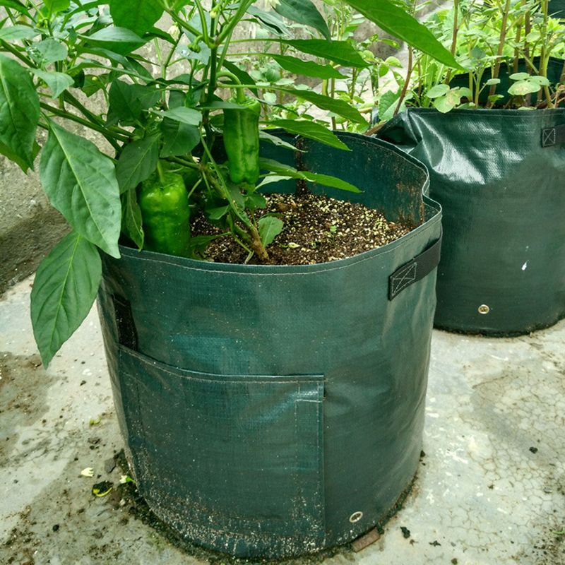 Farming Grow Bags Garden Planting