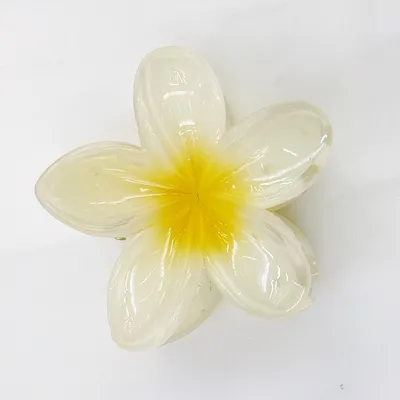 Fashion Hawaiian Flower Claw Clip Fashion Hawaiian Flower Claw Clip