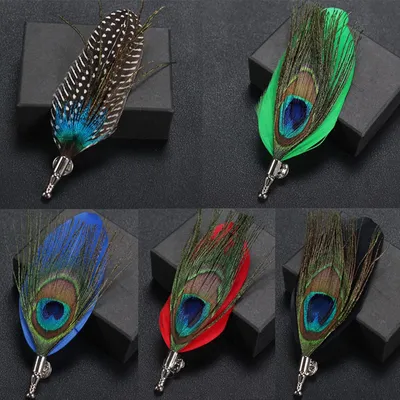 Fashionable Unisex Peacock Feather Brooch