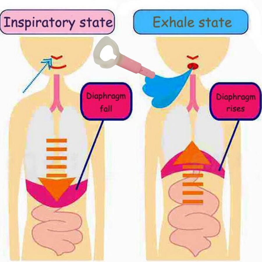 Fat Burning Abdominal Breathing Exerciser Fat Burning Abdominal Breathing Exerciser