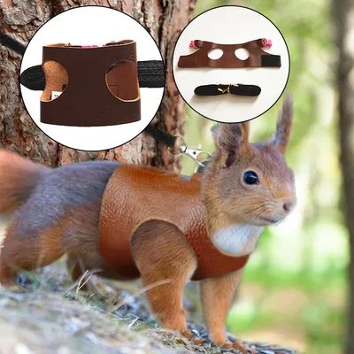 Faux Leather Harness Squirrel Leash Faux Leather Harness Squirrel Leash