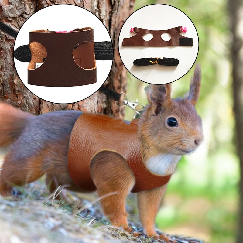 Faux Leather Harness Squirrel Leash
