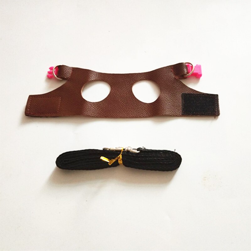 Faux Leather Harness Squirrel Leash Faux Leather Harness Squirrel Leash
