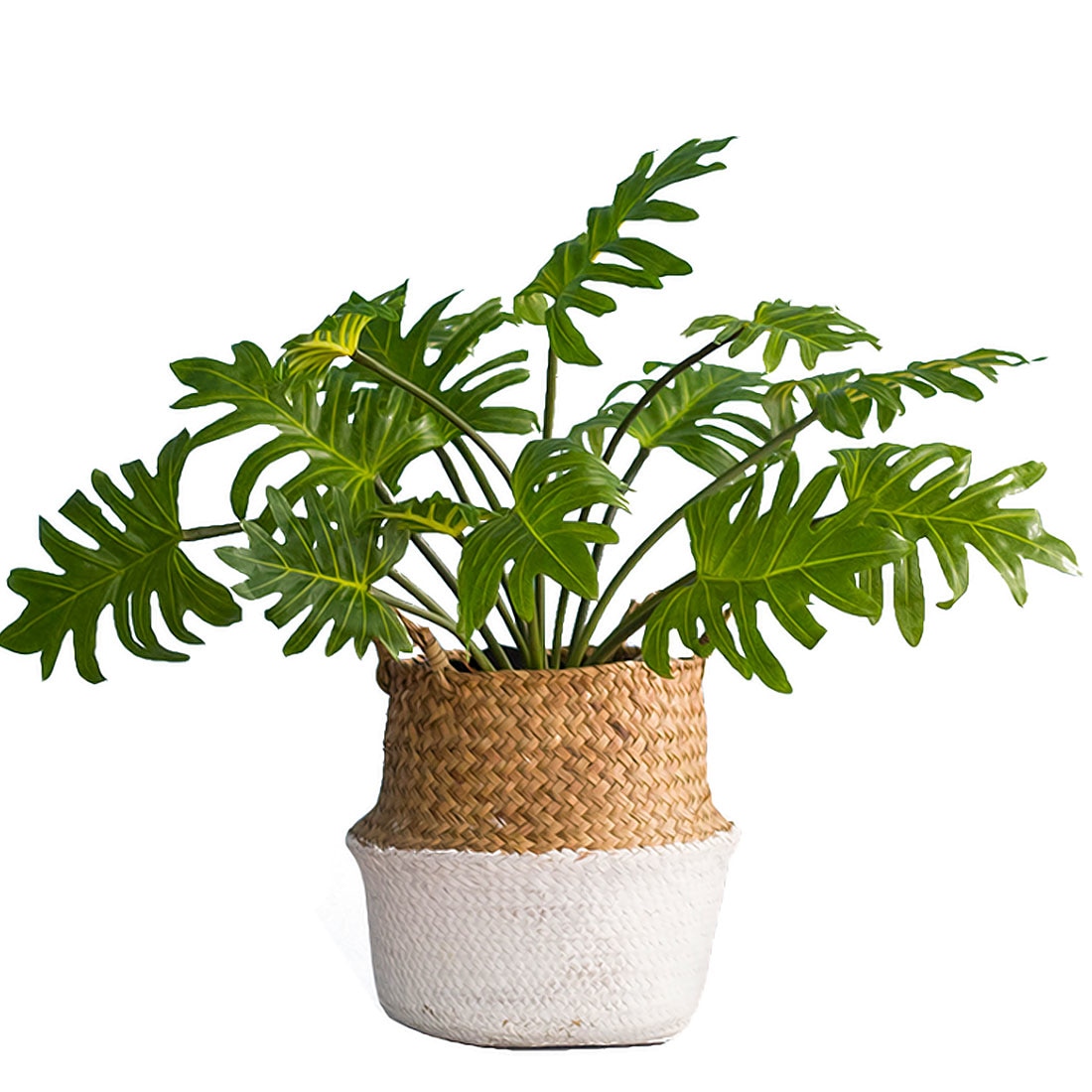 Faux Plants Artificial Leaves Decor